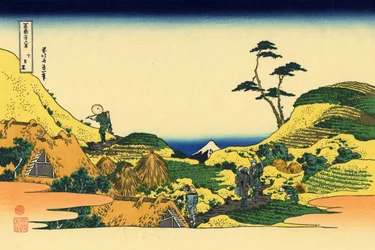 Shimo Meguro